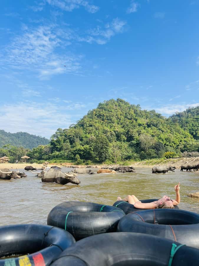 Chiang Mai 2-Day: Trekking, Tubing & Elephant Observation - Dinner under the stars, plus optional massage