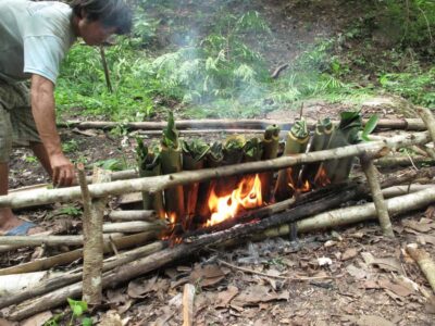 Chiang Mai: 2 Days, 1 Night Non-Tourist Trek - Day 1: Elephant camp, jungle cooking, and a moonlit homestay
