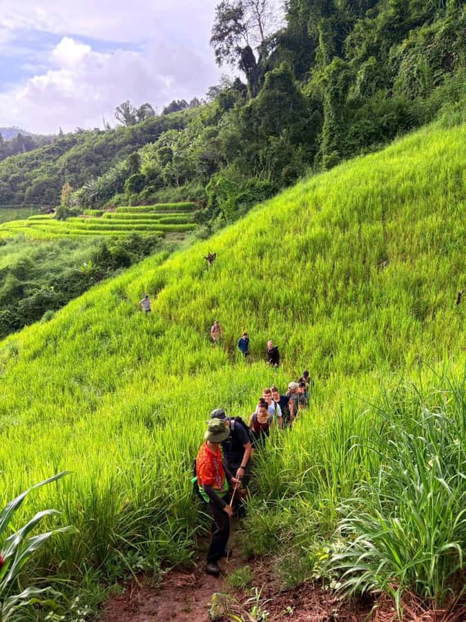 Chiang Mai: 2-Days Jungle Trek, Waterfalls and Karen Village - Fitness, pacing, and comfort: 12 km days, uphill climbs, and basic village sleep