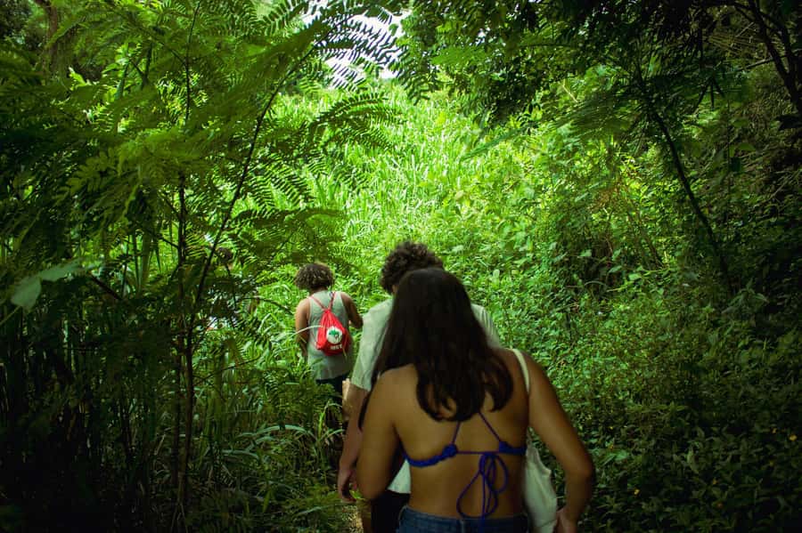 Chiang Mai: 3-Day Karen Hill Tribe Immersion with Trekking - Key things you’ll notice
