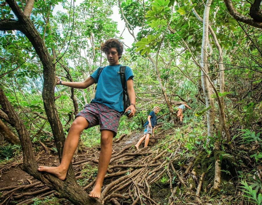 Chiang Mai: 3-Day Karen Hill Tribe Immersion with Trekking - Why Doi Inthanon feels different on this trek