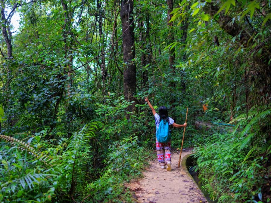 Chiang Mai: 3-Day Karen Hill Tribe Immersion with Trekking - Day 2: Wildlife forests, two village visits, and real daily-life lessons