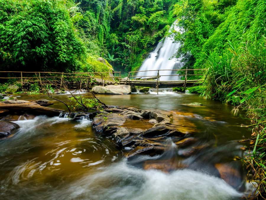 Chiang Mai: 3-Day Karen Hill Tribe Immersion with Trekking - Day 3: Cloud forest paths and up to five waterfall swim breaks