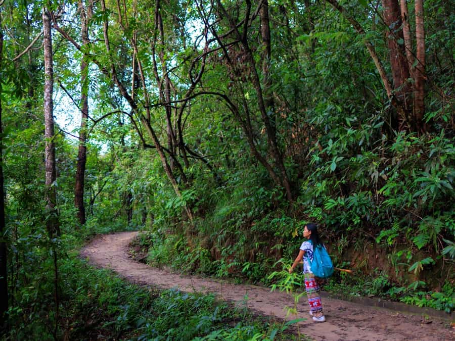 Chiang Mai: 3-Day Karen Hill Tribe Immersion with Trekking - Guides and group size: why small groups feel personal