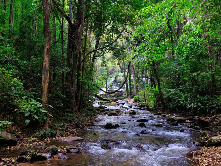 Chiang Mai: 3-Day Karen Hill Tribe Immersion with Trekking - Price and value: does $158 make sense for 3 days?