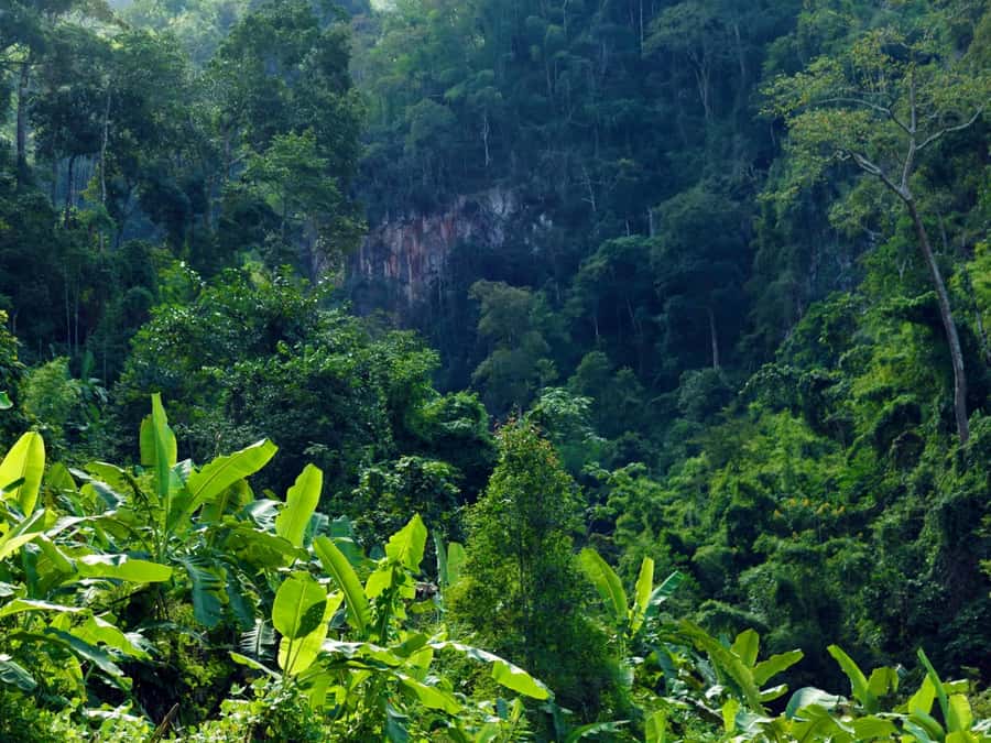 Chiang Mai: 3-Day Karen Hill Tribe Immersion with Trekking - What to pack for the jungle (and what to leave behind)