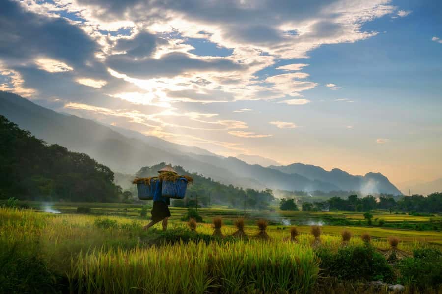 Chiang Mai: 3-Day Karen Hill Tribe Immersion with Trekking - Day 1: Market start, steep forest trails, and a waterfall campfire