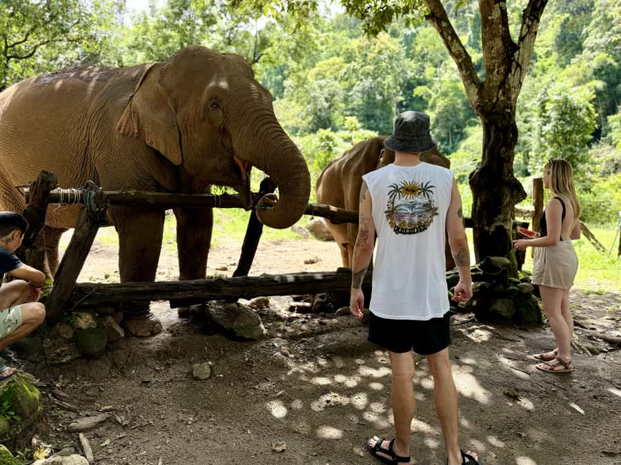Chiang Mai Adventure: Trekking, Tubing & Waterfall Slide - Mae Taeng River tubing near Elephant Nature Park: easygoing float time