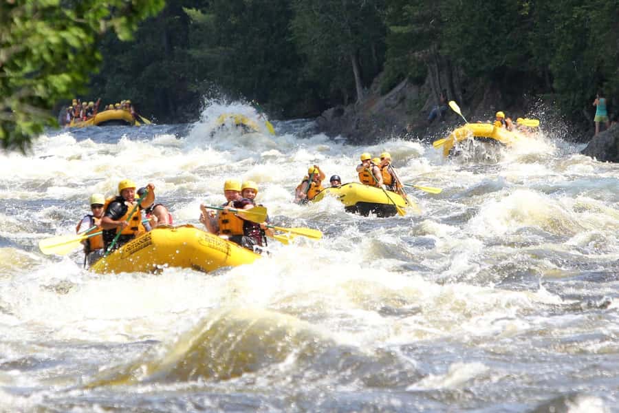 Chiang Mai ATV & White Water Rafting & Trekking to Waterfall - ATV Riding (200cc): Getting Your Thrill Without Overcomplication
