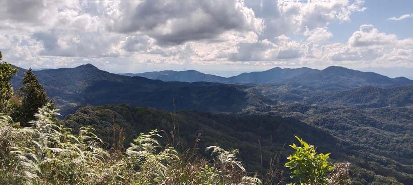 Chiang Mai Authentic Trekking - Key bits that make this Chiang Mai trek worth your time