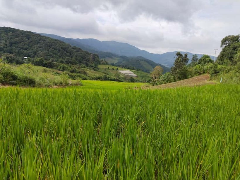 Chiang Mai Authentic Trekking - Where this trek fits in Chiang Mai (and why it feels different)