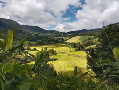 Chiang Mai Authentic Trekking - The day’s rhythm: early pickup, market breakfast for lunch, then uphill work