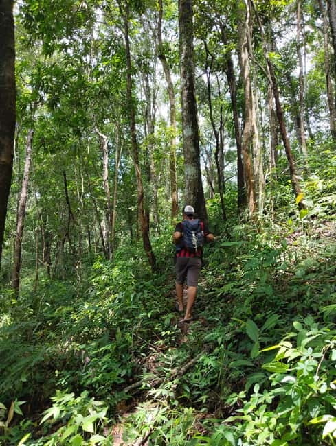 Chiang Mai Authentic Trekking - Phalai Mountain Peak: the view payoff and the climb sting