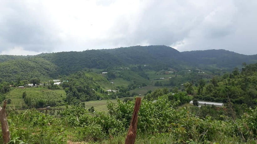 Chiang Mai Authentic Trekking - Through Hill Tribe farms: crops, coffee, and how farming shapes the trek