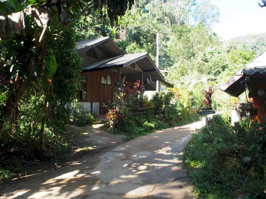 Chiang Mai: Chiang Dao Caves and Jungle Trek with Lunch - Key Points at a Glance