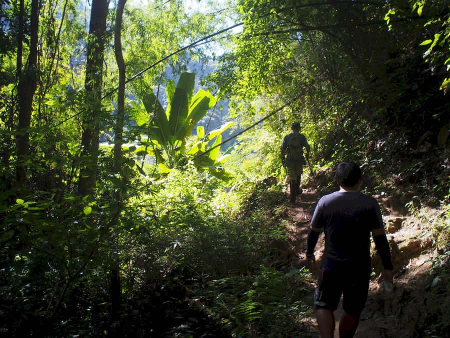Chiang Mai: Chiang Dao Caves and Jungle Trek with Lunch - Chiang Dao Caves: Limestone Caverns and a Buddhist Shrine Underground