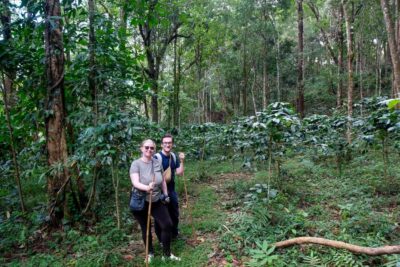 Chiang Mai Coffee Full Day Tour: Trek, Brew & Roast Journey. - The 4WD mountain thrill: short ride, big payoff