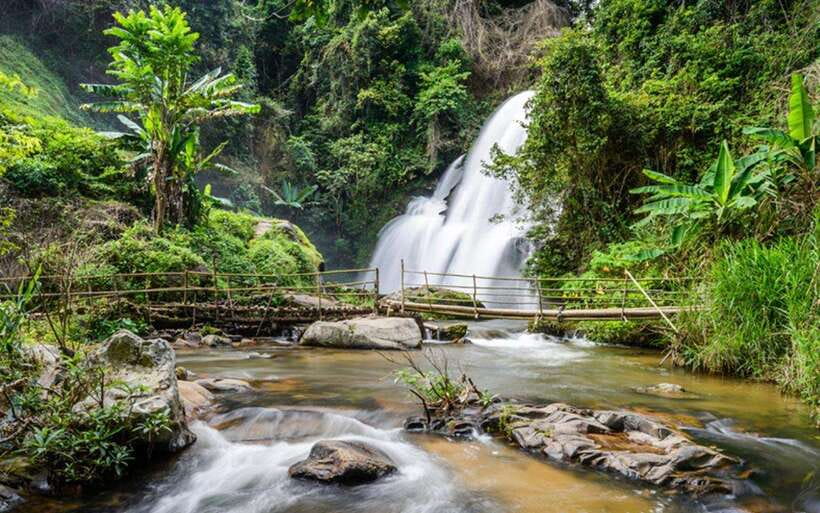Chiang Mai: Doi Inthanon National Park and Pha Dok Siew Trek - Twin Pagodas and the visitor-center loop: beautiful, but plan your time