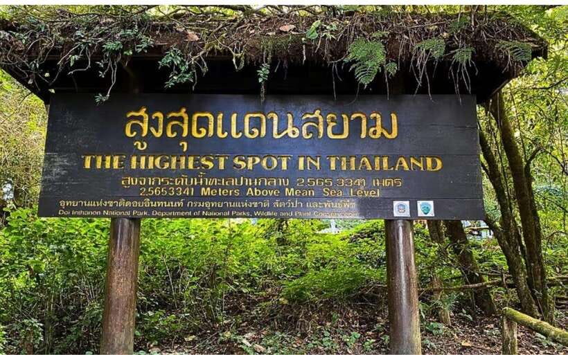 Chiang Mai: Doi Inthanon National Park and Pha Dok Siew Trek - Pha Dok Sieo Nature Trail: the easy-moderate hike with stair reality