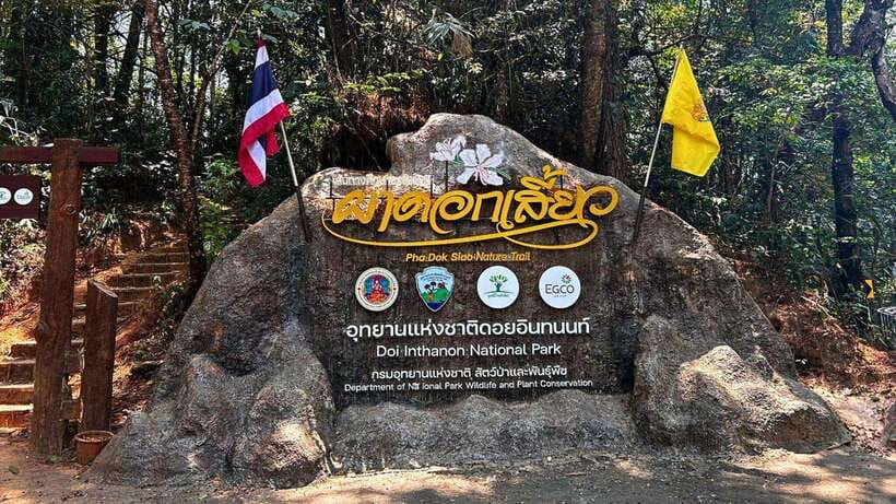 Chiang Mai: Doi Inthanon National Park and Pha Dok Siew Trek - The morning rhythm: pickup, van comfort, and a café reset