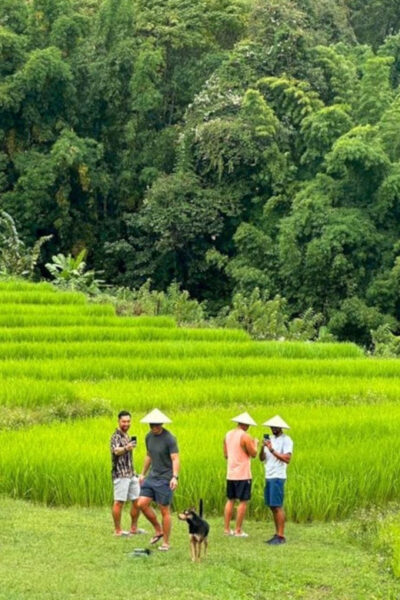 Chiang Mai: Doi Inthanon Park and Pha Dok Siew Trail Trek - Thailand’s highest peak: the summit stop and that cool-air feeling