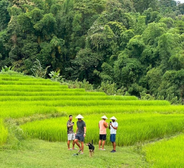 Chiang Mai: Doi Inthanon Park and Pha Dok Siew Trail Trek - Wachirathan Waterfall: the finish that can hit hard