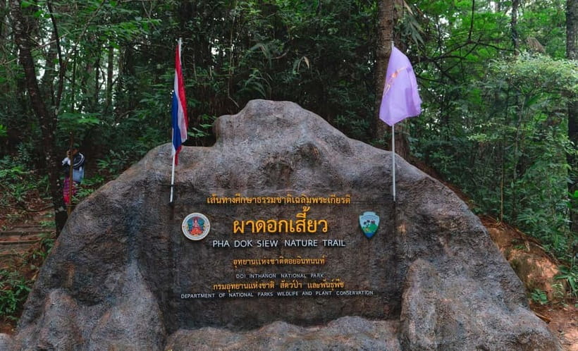 Chiang Mai: Doi Inthanon Trip with Pha Dok Siew Guided Trek - Key highlights to know before you go