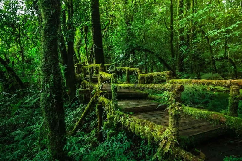 Chiang Mai: Doi Inthanon Trip with Pha Dok Siew Guided Trek - Price and value: what you pay, what you might pay extra