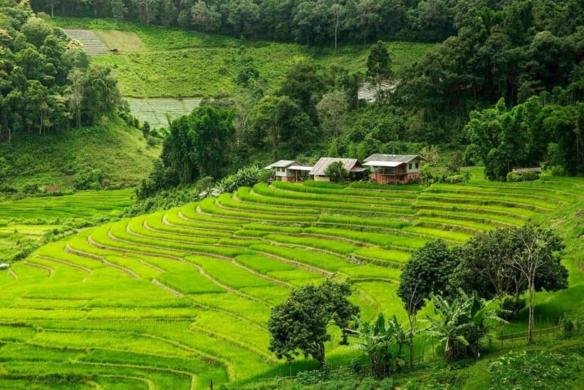 Chiang Mai: Doi Inthanon Trip with Pha Dok Siew Guided Trek - Why Doi Inthanon and Pha Dok Siew work so well as a day trip