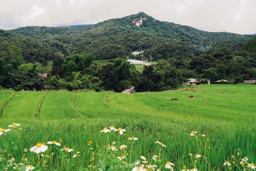 Chiang Mai: Doi Inthanon Trip with Pha Dok Siew Guided Trek - King’s and Queen’s twin pagodas: culture stop plus a dress check