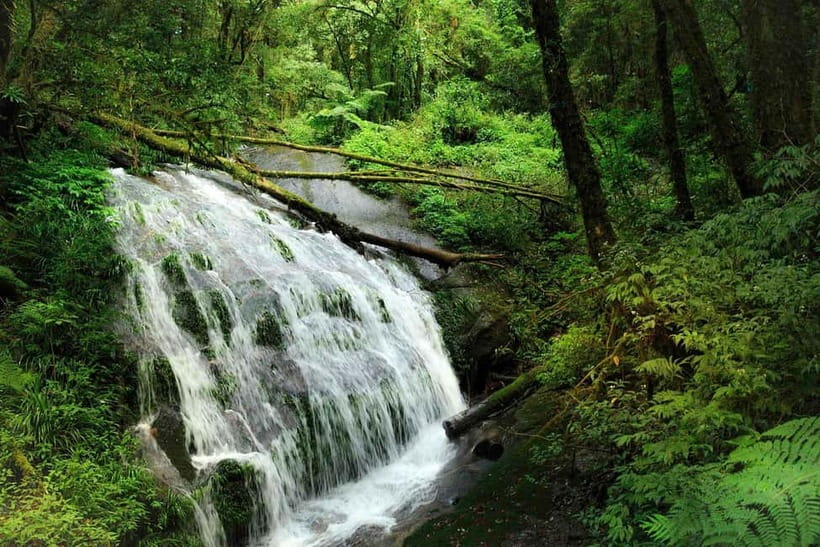 Chiang Mai: Doi Inthanon Trip with Pha Dok Siew Guided Trek - Karen Village and local markets: seeing culture beyond the sales pitch