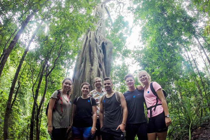 Chiang Mai: Doi Suthep Summit Trek – 7 Hour Pure Hiking Adventure - Key Highlights Worth Getting Excited About