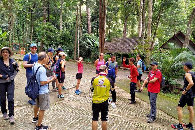 Chiang Mai: Doi Suthep Summit Trek – 7 Hour Pure Hiking Adventure - How Tough Is the Doi Pui Summit Hike in Chiang Mai?