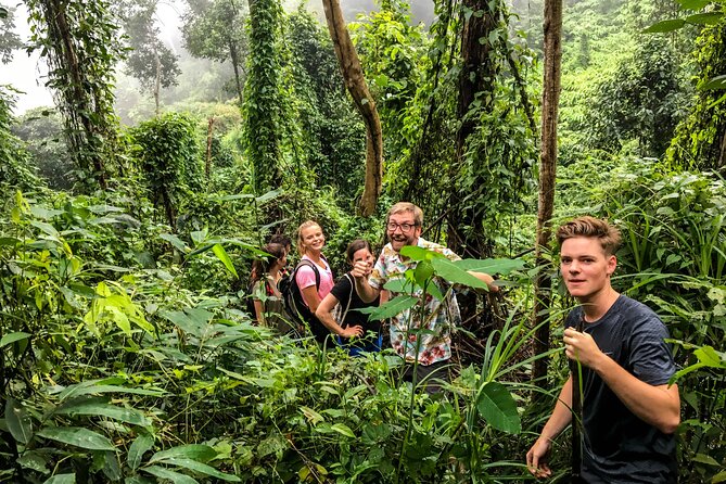 Chiang Mai: Doi Suthep Summit Trek – 7 Hour Pure Hiking Adventure - Moving From Temple to Doi Pui Viewpoints: Where the Jungle Narrows In