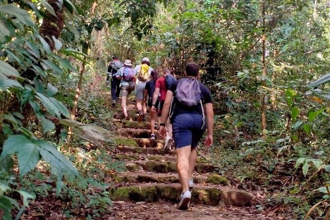 Chiang Mai: Doi Suthep Summit Trek – 7 Hour Pure Hiking Adventure - What to Bring (So You Don’t Turn This Into a Calf Workout)