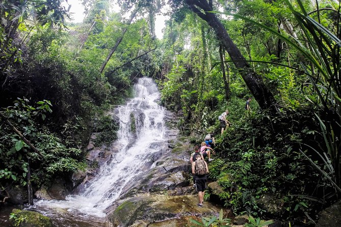 Chiang Mai: Doi Suthep Summit Trek – 7 Hour Pure Hiking Adventure - Wat Phra That Doi Suthep: The Temple Stop That Feels Earned