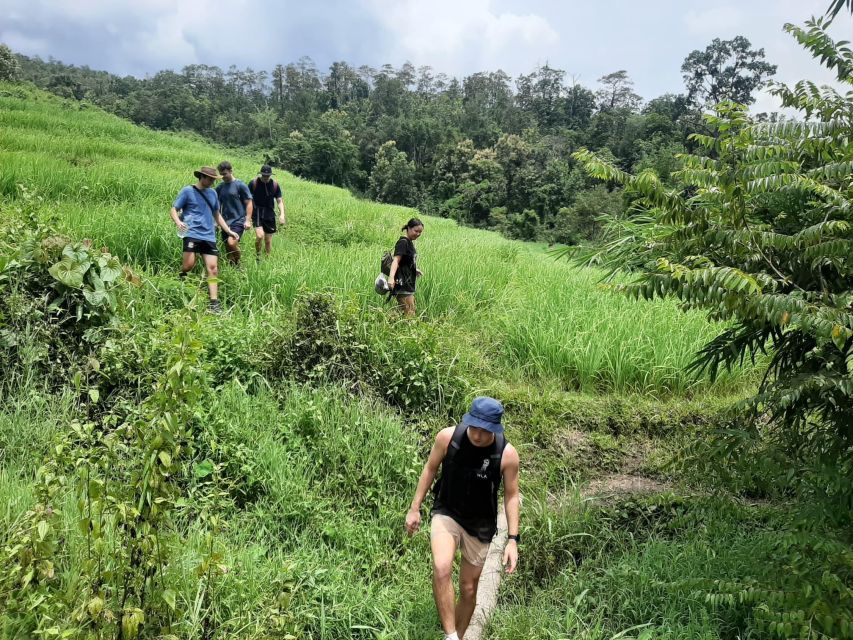 Chiang Mai: Elephant Sanctuary & Jungle Trek w/ Waterfall - The best part: a one-day rhythm that fits Chiang Mai well