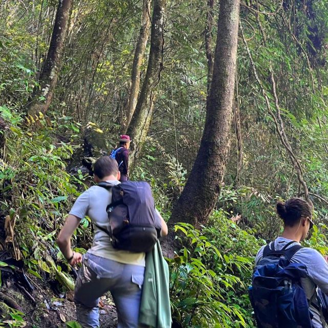 Chiang Mai: Elephant Sanctuary & Jungle Trek w/ Waterfall - The elephant sanctuary segment: feeding, bathing, and learning