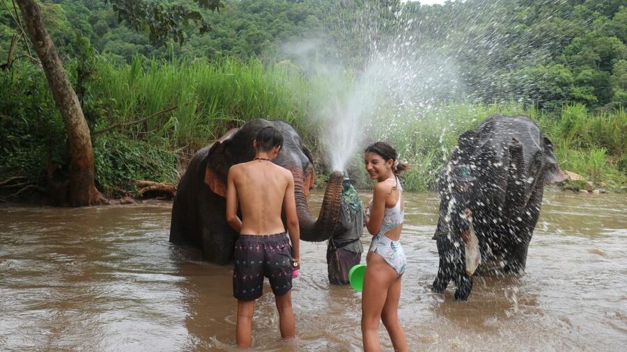 Chiang Mai: Elephant Sanctuary & Jungle Trek w/ Waterfall - Jungle trek to the waterfall: short walk, real payoff