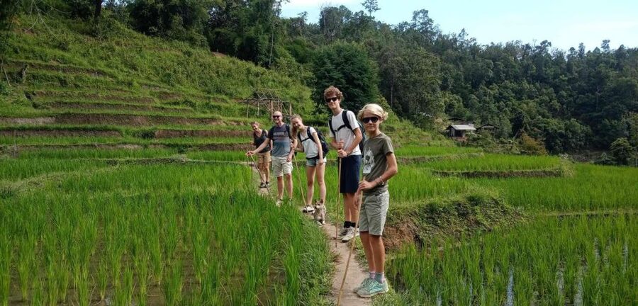 Chiang Mai: Elephant Sanctuary & Jungle Trek w/ Waterfall - Wildlife viewing and the gentle finish back to Chiang Mai
