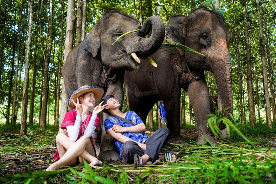 Chiang Mai: Full-Day Kerchor Elephant Eco Park Tour & Trek - Thai lunch in the park: a needed reset