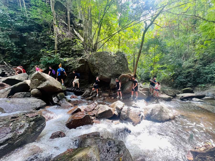 Chiang Mai Full-Day: Trekking, Tubing & Elephant Observation - Why this Chiang Mai trek-and-tube day feels like a good-value plan