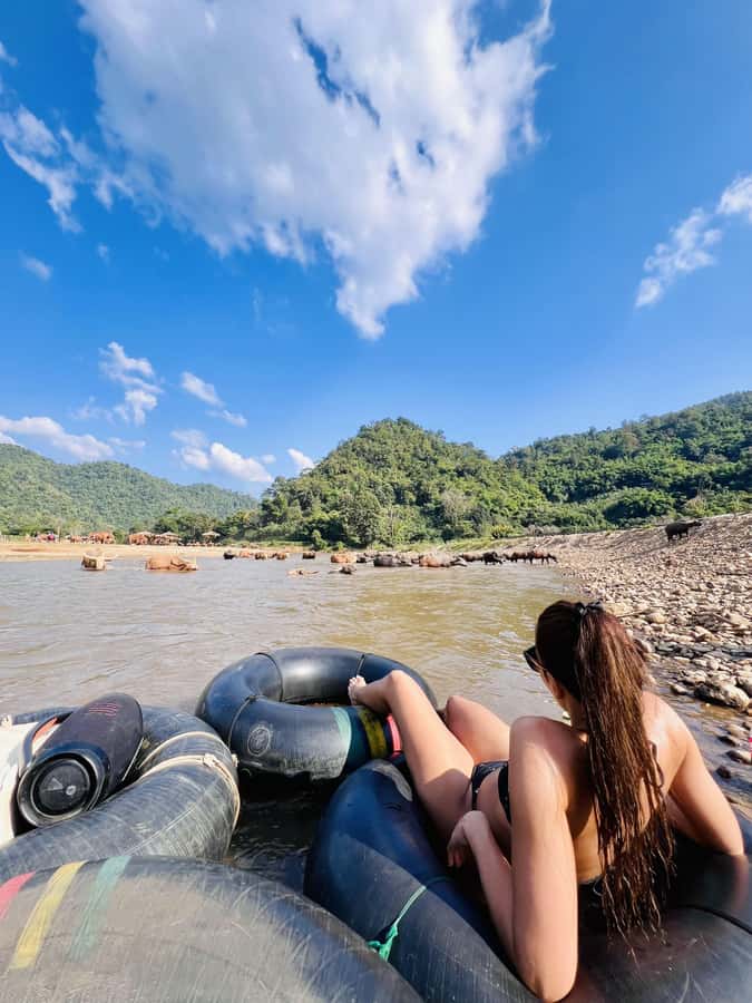 Chiang Mai Full-Day: Trekking, Tubing & Elephant Observation - Tard Mok Waterfall Trek: where the morning payoff really starts