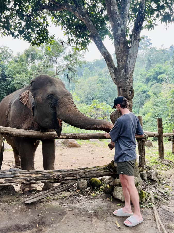 Chiang Mai Full-Day: Trekking, Tubing & Elephant Observation - Mae Taeng River Tubing: calm floating with real safety support