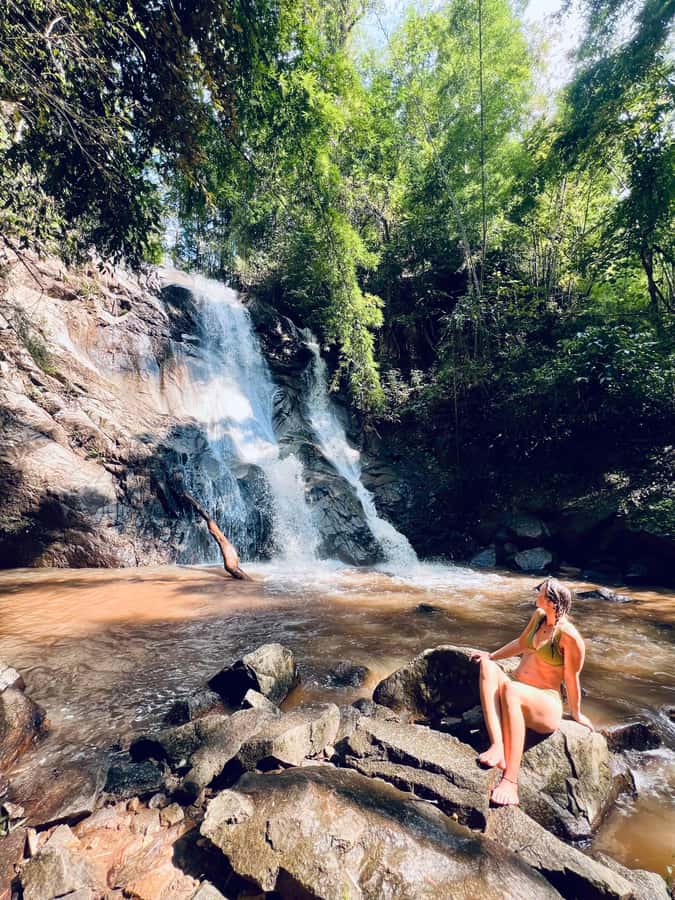 Chiang Mai Full-Day: Trekking, Tubing & Elephant Observation - Timing from start to finish: how the day flows (and where you can feel it)