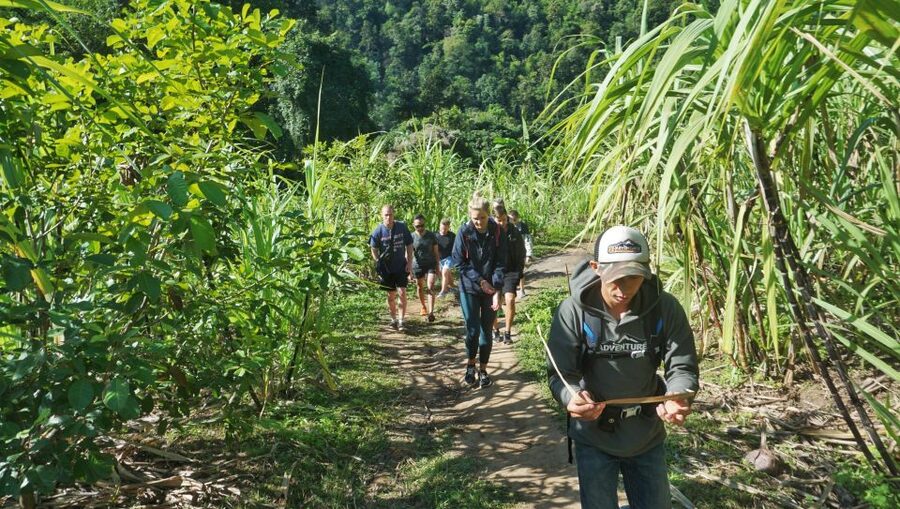 Chiang Mai: Guided Jungle and Waterfall Trek with Transfer - Lunch by the trail: keeping it simple and actually useful