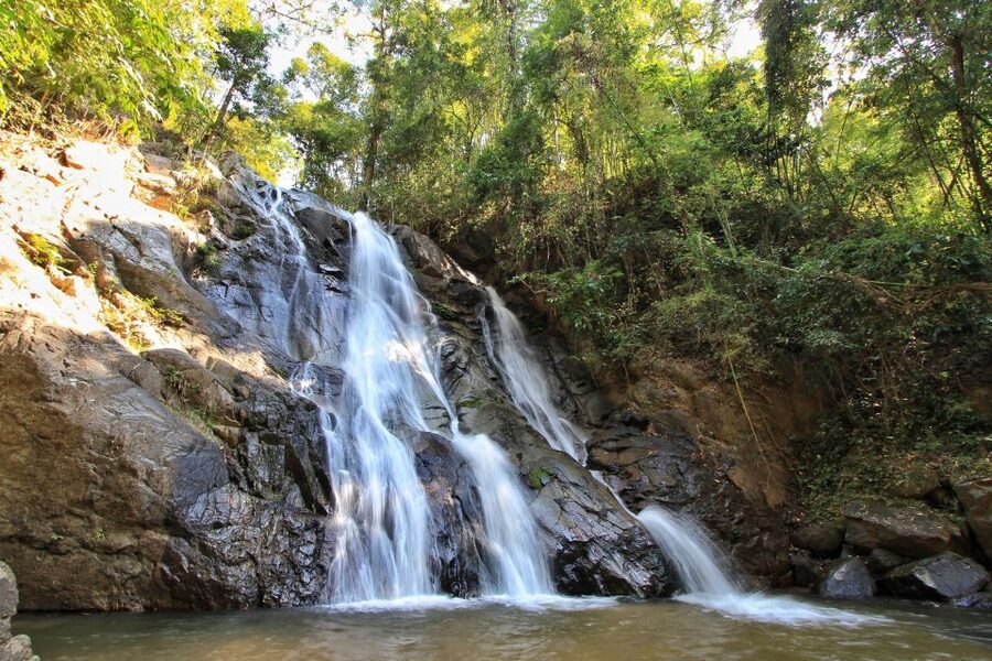 Chiang Mai: Guided Jungle and Waterfall Trek with Transfer - Price and value: what you get for $64