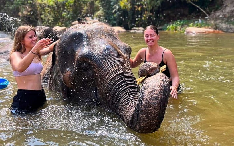 Chiang Mai: Jungle Trek, Elephants care & Bamboo Rafting - Key things that make this tour worth considering