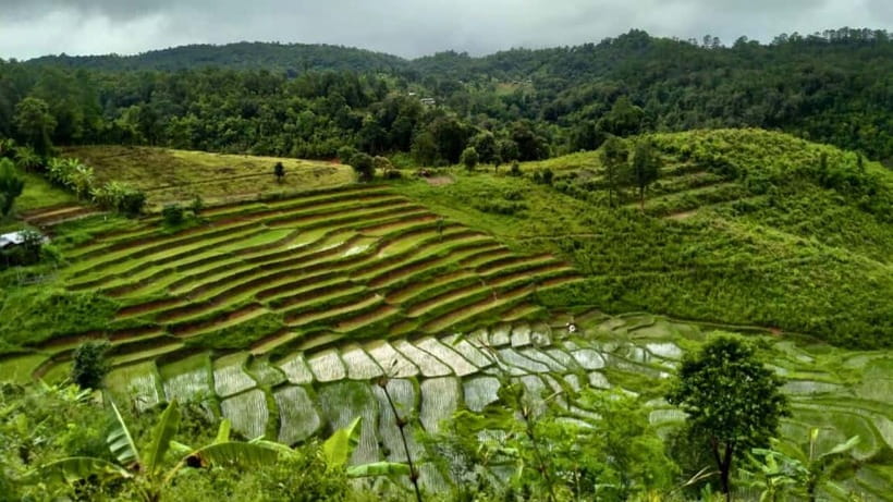 Chiang Mai: Jungle Trek, Elephants care & Bamboo Rafting - What to pack and what to watch for on the trail