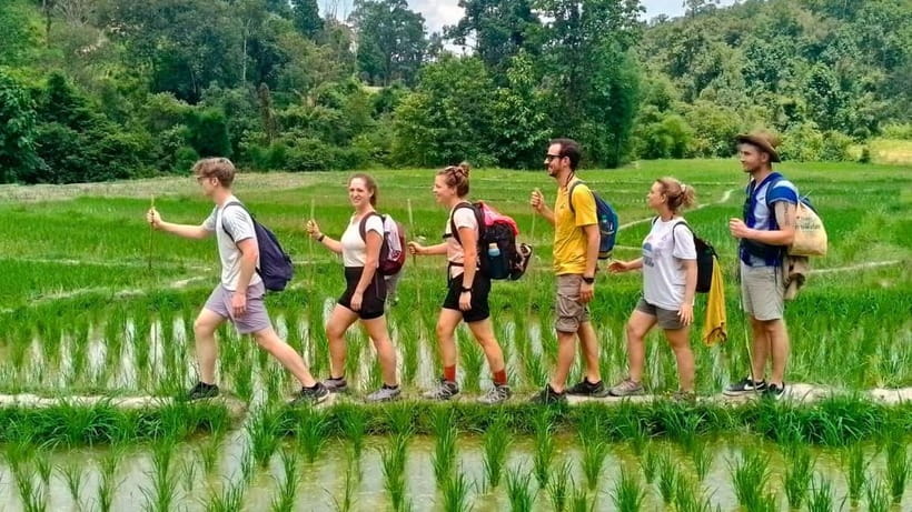 Chiang Mai: Jungle Trek, Elephants care & Bamboo Rafting - How the day starts: hotel pickup, mountain roads, and quick setup